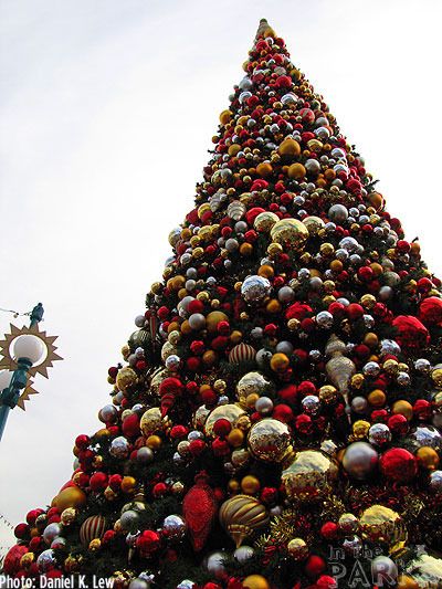 [Disneyland Resort] Christmas Season 2011 (du 14 novembre 2011 au 8 janvier 2012) IMG_4818